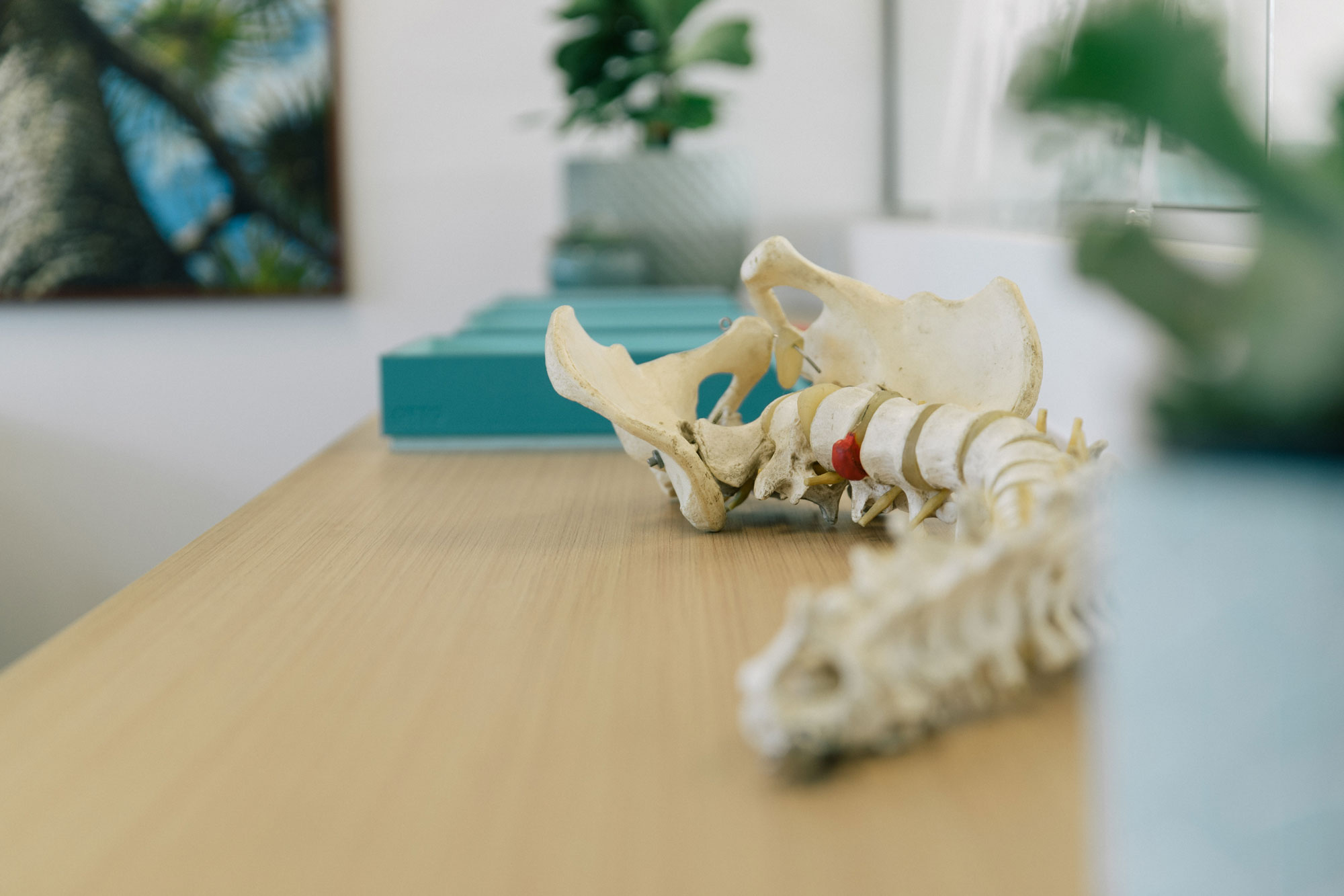 Spinal Physiotherapy